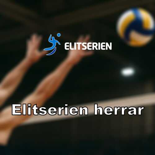 Erik ask skadad missar historiska volleyboll em